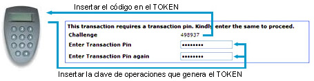 Insertar el código en el TOKEN